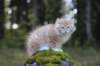 zacaras3months23932_small.jpg