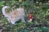 zacaras3months23933_small.jpg