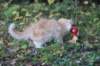 zacaras3months23934_small.jpg
