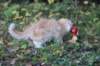 zacaras3months23935_small.jpg