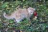 zacaras3months23936_small.jpg