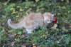 zacaras3months23937_small.jpg