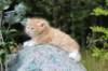 zacaras55weeks29_small.jpg