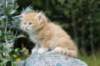 zacaras55weeks40_small.jpg