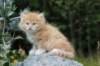 zacaras55weeks41_small.jpg