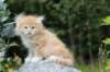 zacaras55weeks44_small.jpg