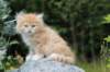 zacaras55weeks45_small.jpg