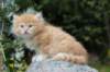 zacaras55weeks48_small.jpg