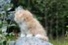 zacaras55weeks55_small.jpg