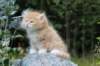 zacaras55weeks56_small.jpg