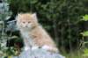 zacaras55weeks58_small.jpg