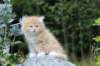 zacaras55weeks59_small.jpg