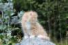zacaras55weeks61_small.jpg