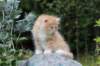 zacaras55weeks62_small.jpg