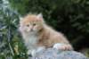 zacaras55weeks67_small.jpg