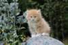 zacaras55weeks77_small.jpg