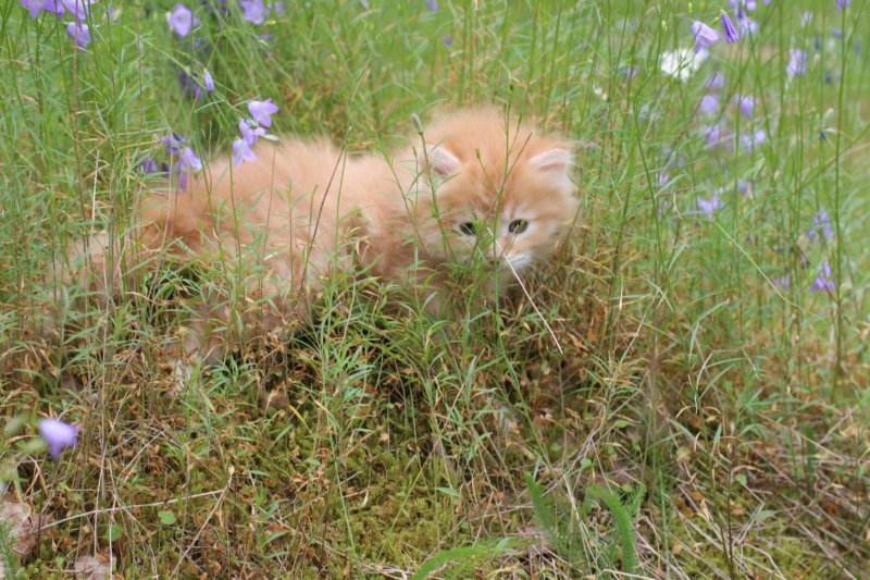 zacaras55weeks90.jpg