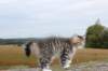 zibiah11weeks8926_small.jpg