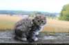 zila11weeks8925_small.jpg