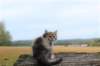 zila11weeks8933_small.jpg