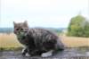 zila11weeks8937_small.jpg