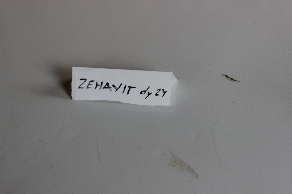 zehavit11viikkoa21520251.jpg