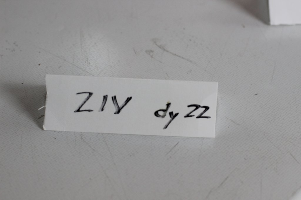ziv11viikkoa21520251.jpg