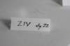 ziv11viikkoa21520251_small.jpg