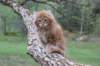 ziv11viikkoa215202567_small.jpg