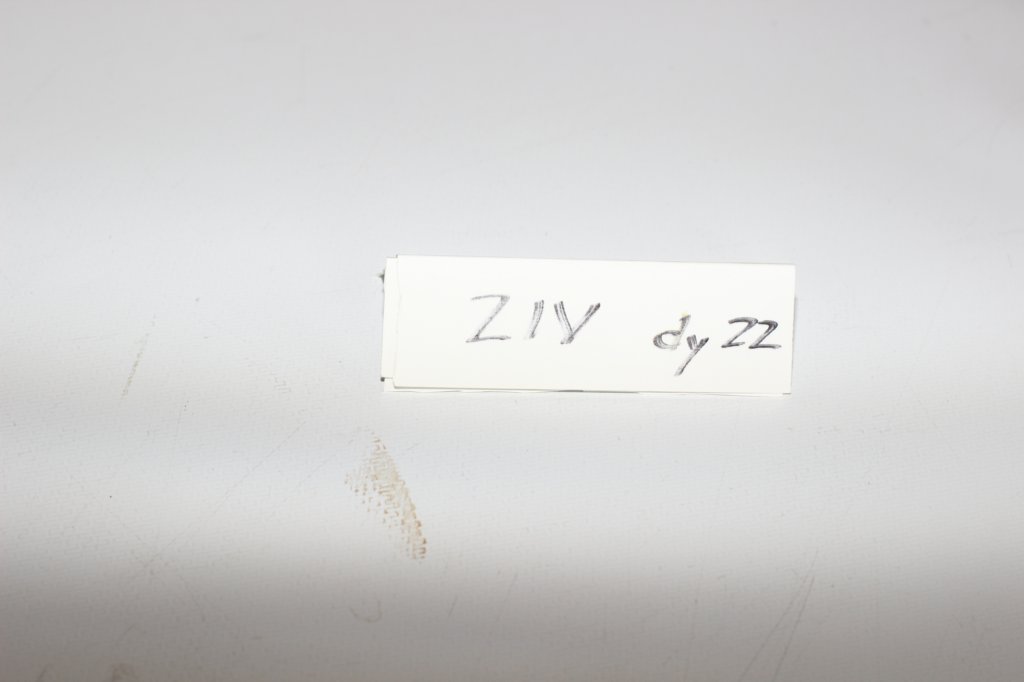 ziv12viikkoa29520251.jpg