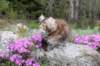 ziva11viikkoa215202513_small.jpg