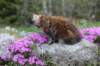 ziva11viikkoa215202567_small.jpg