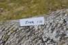 zivasibfy228viikkoa304202556_small.jpg