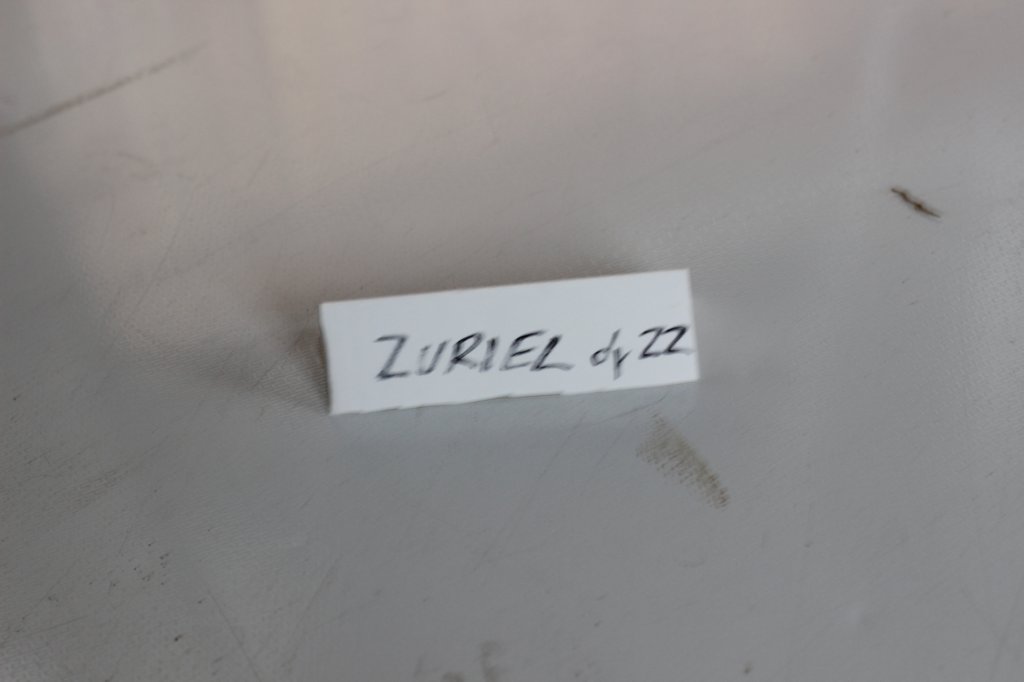 zuriel11viikkoa21520251.jpg