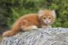 zurielsibdy228viikkoa304202516_small.jpg