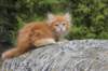 zurielsibdy228viikkoa304202517_small.jpg
