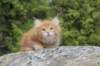 zurielsibdy228viikkoa304202520_small.jpg