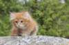 zurielsibdy228viikkoa304202523_small.jpg