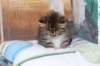 ximena23_small.jpg