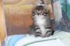 ximena24_small.jpg