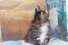 ximena34_small.jpg