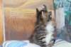 ximena36_small.jpg