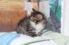 ximena38_small.jpg