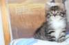 ximena63_small.jpg