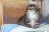 ximena67_small.jpg