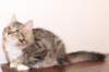 ximena3kk3vi9118_small.jpg